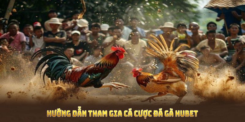 Hướng dẫn tham gia cá cược đá gà HUBET thuận tiện